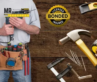 Mr Handy Home Pro