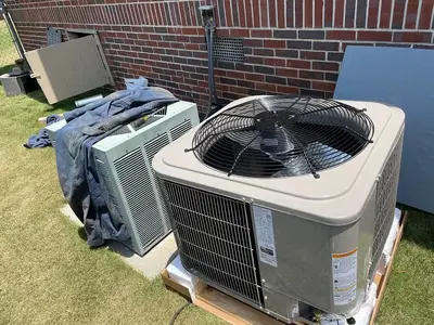 Business Photo