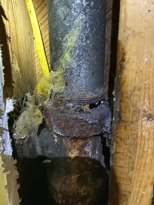 Home Repair Expert Photo