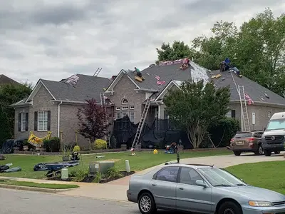 Mighty Dog Roofing