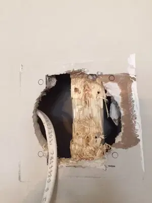 Home Repair Expert Photo