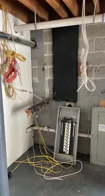 Home Repair Expert Photo