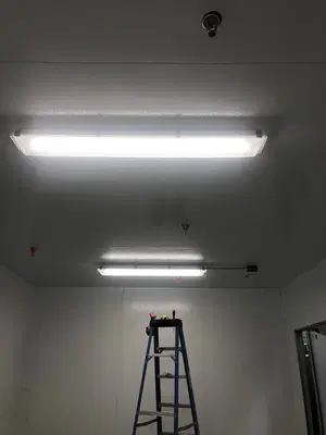 Home Repair Expert Photo