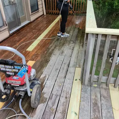 Dynasty Construction