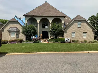 Born To Roof