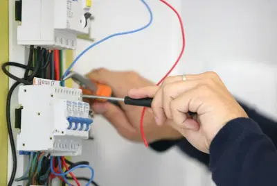 Bolt Electric