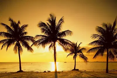 Kahuna LLC