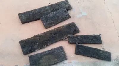 Business Photo