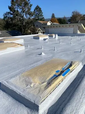 Cricket Roofing Services