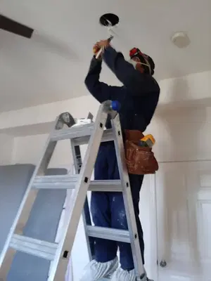 fredy handyman