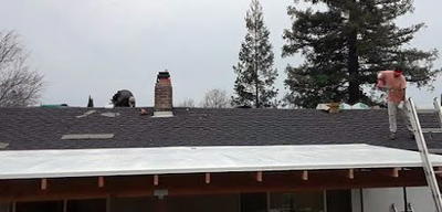 Noah's Roofing