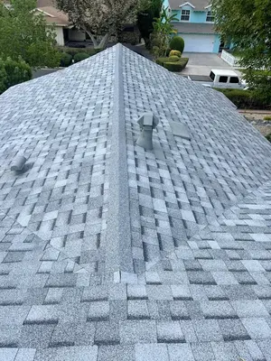 Solid Roofing