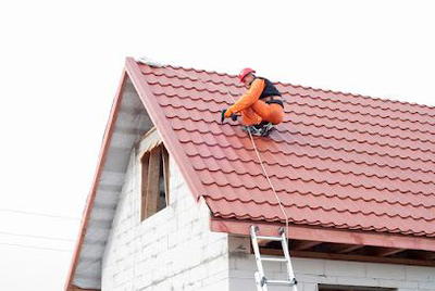Daily Roofing