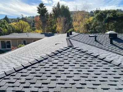 The Last Detail Roofing
