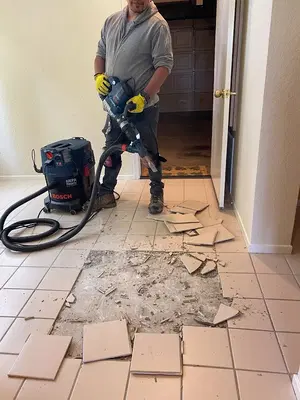 Luis Handyman