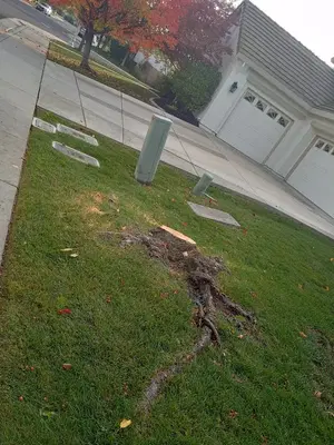 Affordable Handyman Services