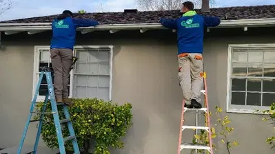 Go Green Cleaning & Maintenance Services