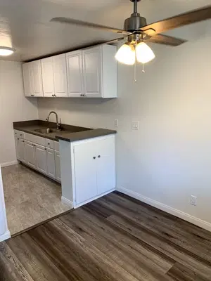 VG Handyman Services