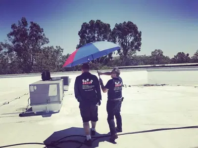Business Photo