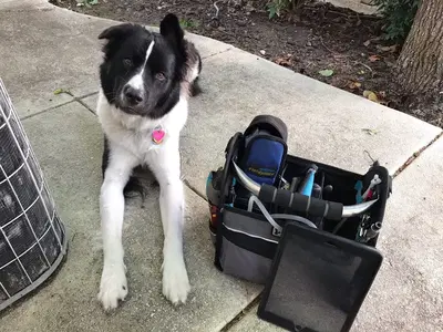 Business Photo