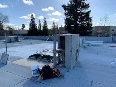 Business Photo