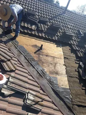Olympus roofing