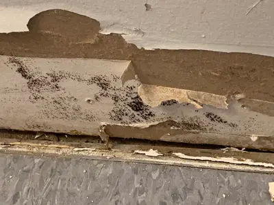 Monterey Bay Solutions - Water & Fire Damage Restoration