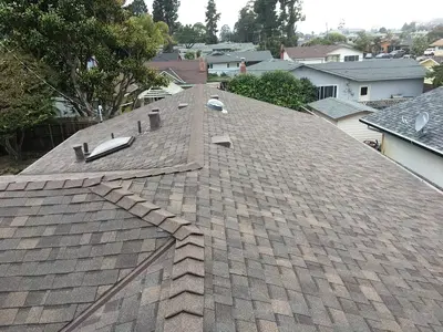 Redwood Roofing and Repair