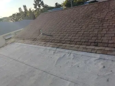 Dollar Roofers
