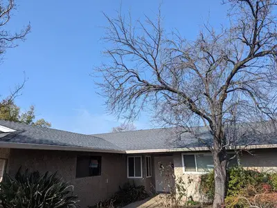 Baird Roofing