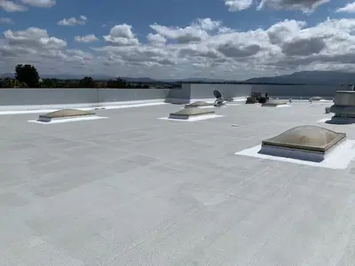 Alternative Coatings Solutions, Inc