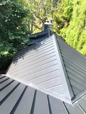 Ruiz Roofing