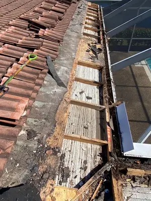Earth Roofers