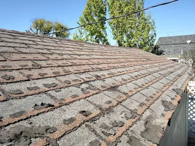 American Apex Roofing