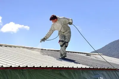 Alba's Roofing