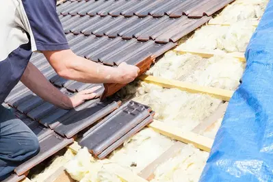 Pure Roofing