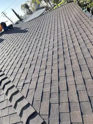 New View Roofing LLC