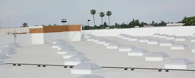 Absolute Urethane