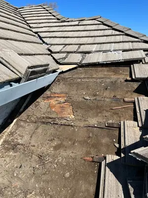 Morphe Roofing