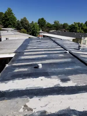 The Rv Roof man