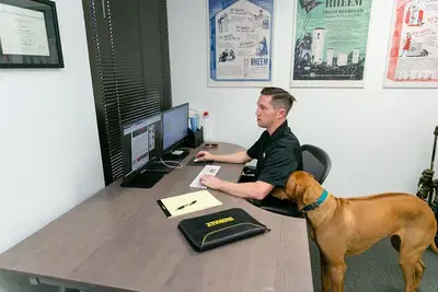 Business Photo