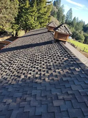 Stephen Curley Roofing