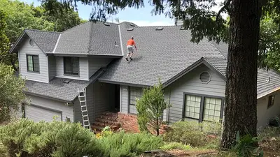 Palmer Roofing Services Inc