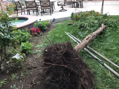 Emergency Plumbing & Rooter