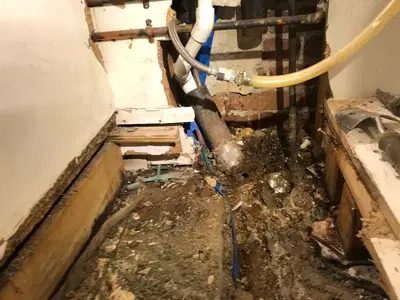 Drain First - Plumbers