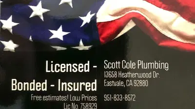 Business Photo