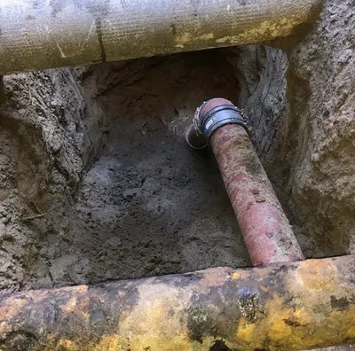 The Sewer Surgeon