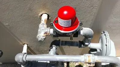 Professional Plumbing Inc.