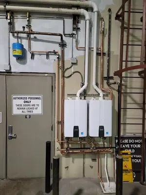 Dynasty Plumbing