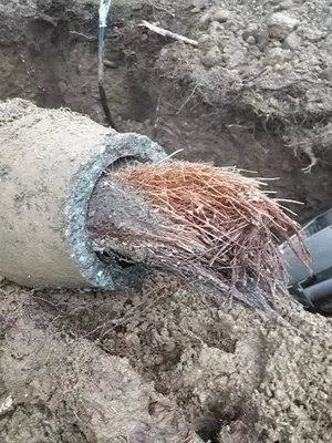 Pacific Plumbing Services Inc.